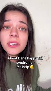 Why Do Great Danes Need Their Tail Cut Off