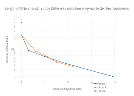 Length Of Dna Strands Cut By Different Restriction Enzymes