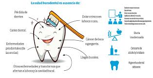Según la última encuesta nacional de salud realizada por el ministerio la higiene de la boca del lactante puede realizarse con una gasa humedecida en agua una vez por día en la noche, explicó la odontopediatra. La Importancia De La Salud Oral