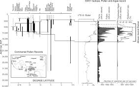 Image result for Scytopetalum pierreanum