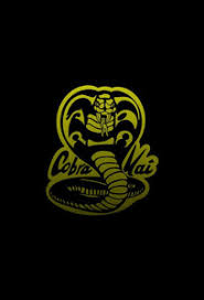 Well you're in luck, because here they come. Tv Time Cobra Kai Tvshow Time