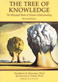 Discover humberto maturana famous and rare quotes. 18 Humberto Maturana Ideas Hope Meaning Interpersonal Interaction Dunning Kruger Effect