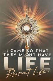 Profile for The Many Faces of ProLife