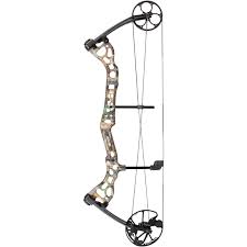 bear archery attitude review in field compound bow