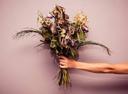 More than 250 million roses. I Don T Buy Flowers And You Shouldn T Either Thrillist
