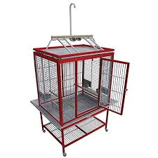 Almost any pet store sells fly larvae, and they have been marketed for google parrot stores near me of look in the yellow pages for a pet store that carries birds near u. Buy King S Cages Acp3325 Aluminum Parrot Cage Gold Pet Bird Toys Birds Toy African Grey Amazon Online In Germany B07crnshzx