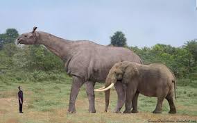 We Posed These Prehistoric Animals Next To Human Beings Prehistoric Animals Extinct Animals Mammals