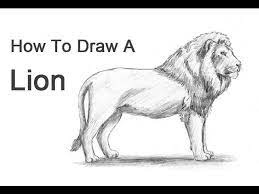 We did not find results for: How To Draw A Lion Youtube