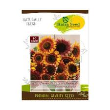 Harga tersebut kami tawarkan dengan harga yang sangat kompetitif sekali, dimana sudah sesuai dengan harga bahan baku serta proses produksi. Jual Tanaman Bunga Matahari Terbaru 2020 Murah Blibli Com