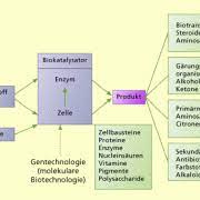 Waschmittel werden nicht vollständig aus der kleidung herausgewaschen (siehe dazu auch unter waschmaschine). Enzyme In Der Biotechnik In Biologie Schulerlexikon Lernhelfer