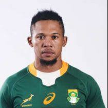 A look ahead of the Currie Cup Final