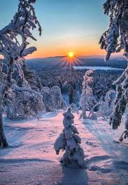 Winterbilder tiere als hintergrundbild : Aussergewohnlich Schnee Natur Wald Winter Sonnenuntergang Winter Scenery Winter Sunset Winter Pictures