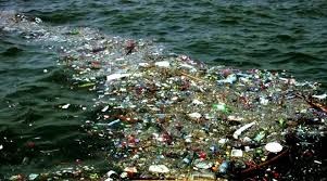 The following image below is a display of images that come from various sources. Aksi Untuk Mengatasi Sampah Laut Persoalan Serius Nan Mengkhawatirkan