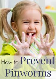 كرمى_كوم_له_مندالان 🙇🏻‍♂️ pinworm 🐛 زور له دايك و باوكان پرسيار دةكةن  چون بزانين كرم هةيه له كومى مندالمان؟ و كرم چونه؟ مندال كة دةستى پيس دةكاته  دةمى ئةگةر هيلكةى كرمةكه بةدةستى كةوتبيت ،