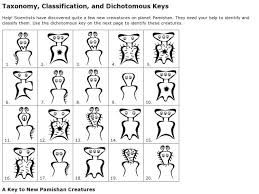Pamishan Creatures Dichotomous Key Life Science Middle School High School Biology