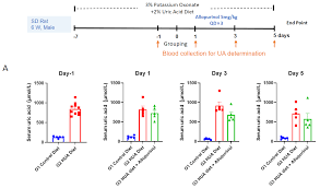 Image result for Hyperuricemia