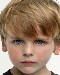 Gavin Maddox Bergman