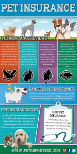 The most comprehensive insurance policies for pet sitters or those combined with bonding can run anywhere between $300 and $600 per year. Browse This Site Http Www Petreporters Com Pet Insurance And Its Many Benefits For More Information On P Pet Insurance Reviews Pet Insurance Pet Health Care