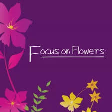 Check spelling or type a new query. Focus On Flowers Podcast Addict
