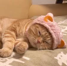 Discover these characteristics, and more. Image About Cute In ï½ï½ï½ï½ ï½ï½ï½ï½ By ï½ï½ï½ï½ï½