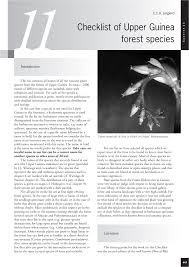 Image result for Trachyphrynium braunianum