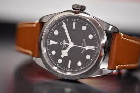 Tudor Black Bay 41 Panosundaki Pin