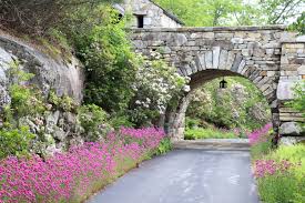 Road Bordered By Pink Silene Smith Gardens Garden Design Highlands Nc