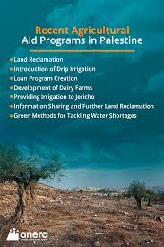 How Aid Can Help Agriculture In Palestine | Anera