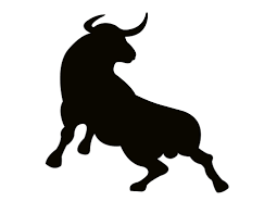 icono toro-bravo | Karina Barrios | Flickr