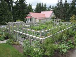 Harvest fruits and vegetables as soon as they are ripe to cut down on the chances that they'll be take advantage of this and grow bright, attractive plants and plump fruits and vegetables close to your home, far away from the outer perimeter of your. Wildlife Fencing How To Keep Animals Out Of Your Garden Green Homes Natural Home Amp Garden