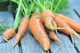 Semer Les Carottes Avec La Lune En 9 Etapes Facile Detente Jardin