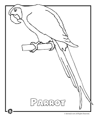As you color these pages, you will journey to oceans, swamps, deserts, and islands and bring to life a variety of plants and animals. Endangered Animals Coloring Pages Animals From North America The Rainforest The Ocean Woo Jr Kids Activities
