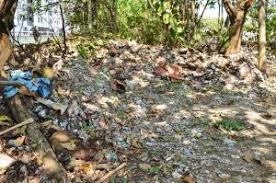 Kegiatan pembalakan yang menyebabkan pembuangan. Tindakan Mahkamah Jika Buang Sampah Secara Haram Atas Tanah Milik Kerajaan Negeri Mbpp Buletin Mutiara
