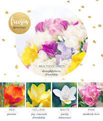 Yellow, orange, lavender, and white roses are perfect because they tend to represent friendship, happiness. Freesia Meaning And Symbolism Ftd Com