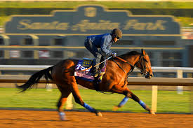 2013 Kentucky Derby Results Winner Payouts And Full Order