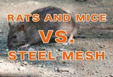 Image result for does copper mesh keep mice out