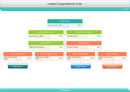 Hospital Org Chart Hospital Org Chart Templates