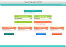 hospital org chart hospital org chart templates