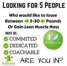I Have Plans Papillon Slouchy Tee Herbalife Motivation Herbalife Herbalife Results