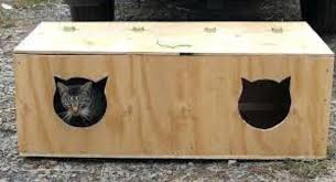 From start to finish only took me less than a hour to complete. Appeal Looking For Winter Shelter Galway Cat Rescue Facebook