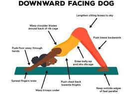 Adho Mukha Svanasana Or Downward Facing Dog Pose Is An Intermediate Yoga Pose That Brings Great Peace And Good Health In How To Do Yoga Yoga Poses Yoga Asanas