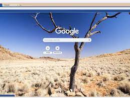 How To Change Your Google Chrome Theme Or Create Your Own Custom Theme For A Personalized Web Browsing Experience Google Backgrounds Google Themes Google Chrome