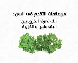 pin by صورة و كلمة on ابتسامة ᴗ funny arabic words funny words words