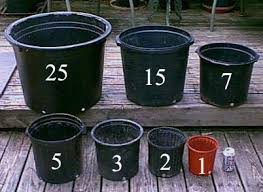 Verified buyer recommended olive farmer 5 out of 5 anonymous location: Pot Size Inches To Gallon To Liters Conversion