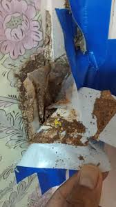 It is a violation of federal law to use this product in a manner inconsistent with its labeling. No Bugs M Lady Home Facebook