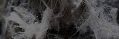 I don't think the ceiling tiles are sheetrock, but my answer is effectively the same that it's probably not dangerous. What Does Asbestos Look Like Asbestos Identification Merryhill