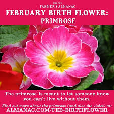 Flower Foot Tattoos Birth Month Feet Tattoos Birth Feet Flower Foot Month Tattoos In 2020 February Birth Flowers Flower Tattoo Foot Birth Flowers