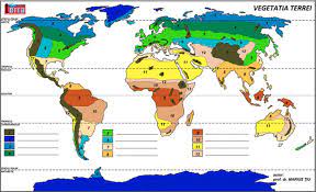 Reprezintă 5% din întreaga suprafață a terrei. Imi Poate Identifica Cineva Zonele Biogeografice Brainly Ro