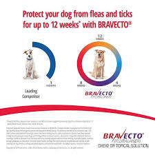Petco has soft chews and topicals with the active ingredient fluralaner for canines 6 months or bravecto is available as a soft chew or topical solution that is given every 12 weeks. Bravecto Chews Free 2 Day Shipping Walmartpetrx Com