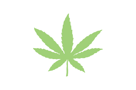 California cities regularly updated list of cannabis regulations. Nurturing Cannabis